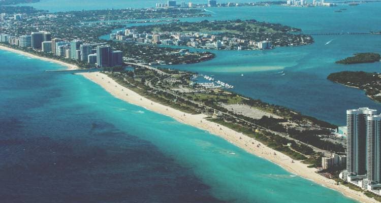 New York , Chicago , Miami - Image 1